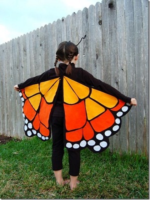 mariposa 1.jpg